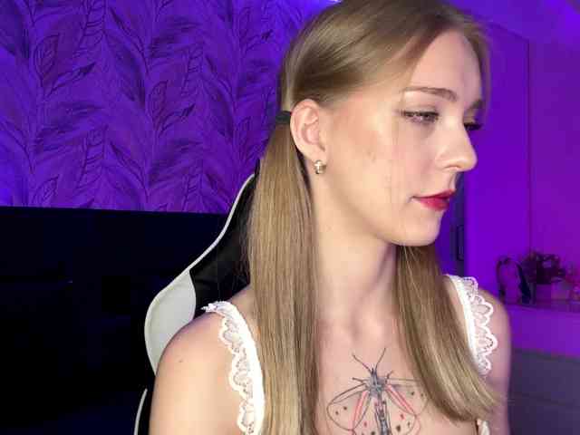 webcam VersieBruegman