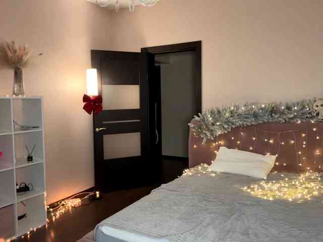 VersieBruegman webcam