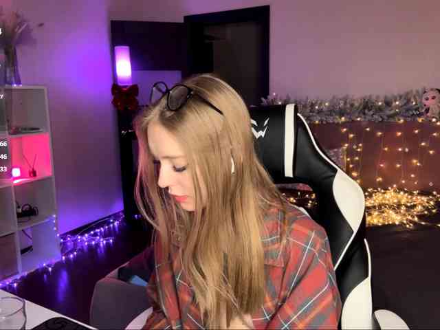 VersieBruegman webcam