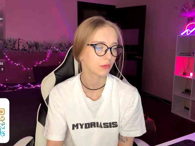 VersieBruegman webcam