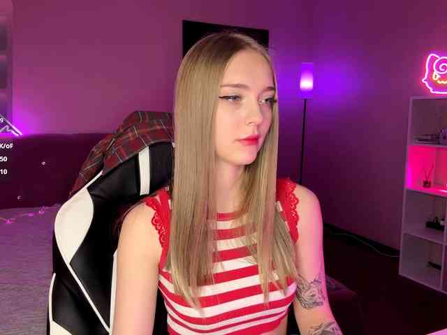 VersieBruegman webcam