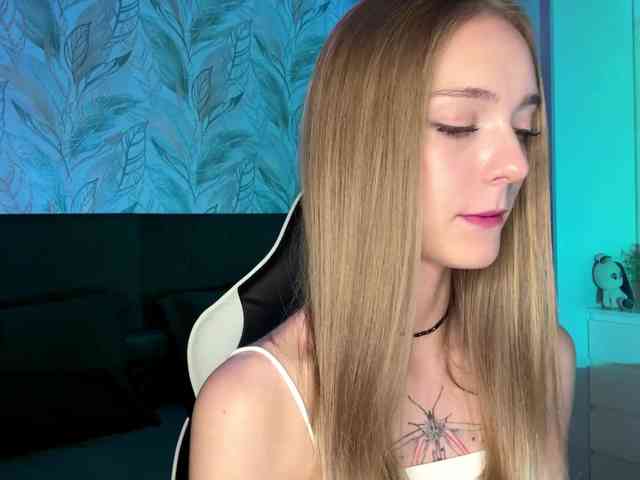 VersieBruegman webcam