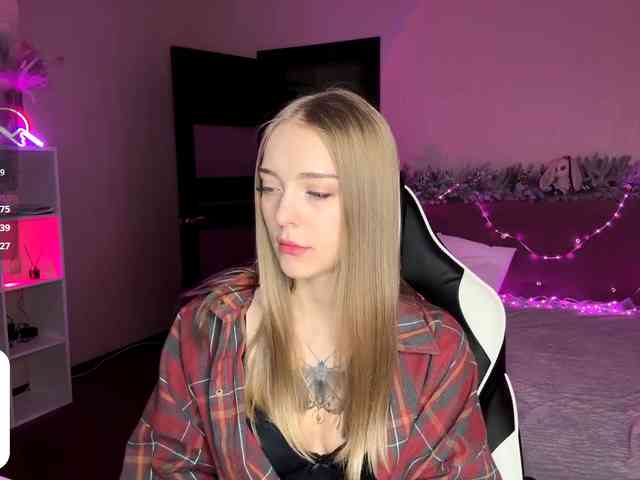 VersieBruegman webcam