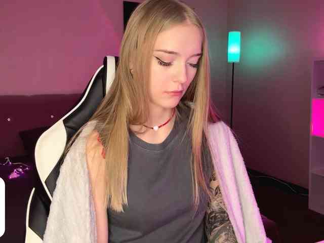 VersieBruegman webcam