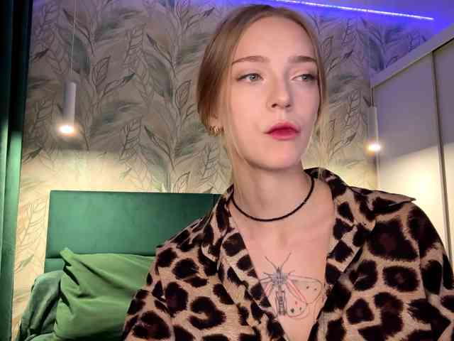 VersieBruegman webcam
