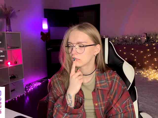 VersieBruegman webcam