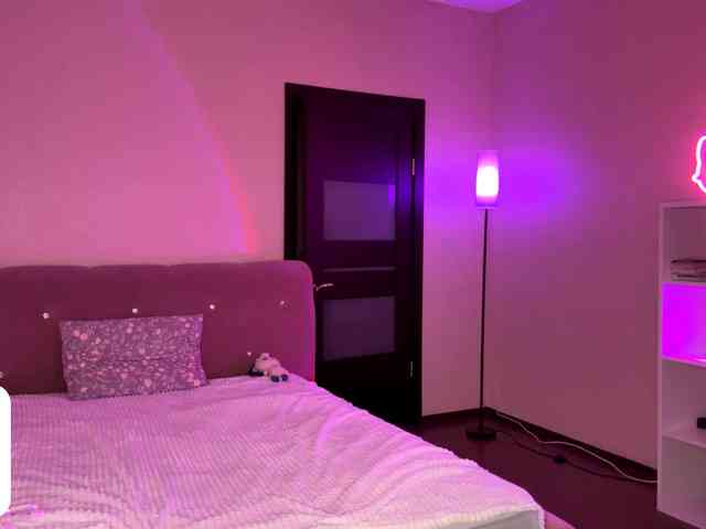 VersieBruegman webcam