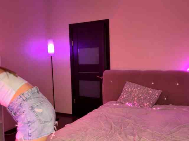 VersieBruegman webcam