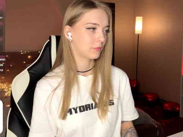 VersieBruegman webcam