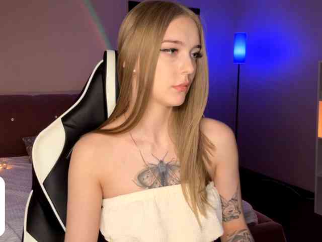 VersieBruegman webcam