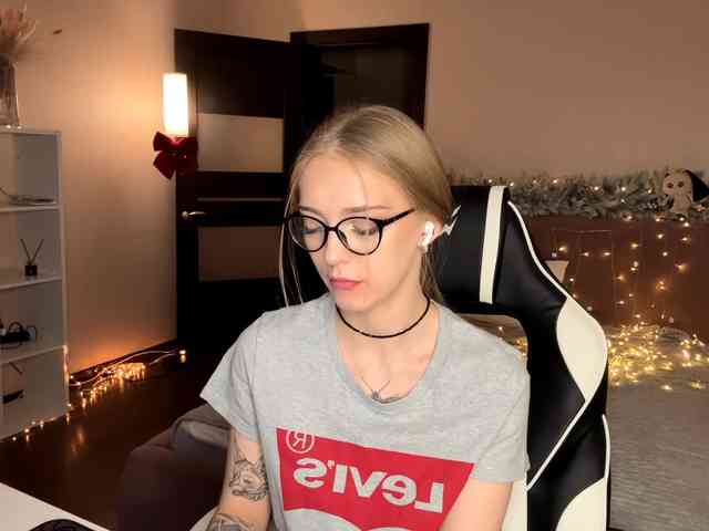 VersieBruegman webcam