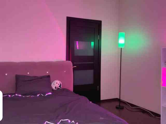 VersieBruegman webcam