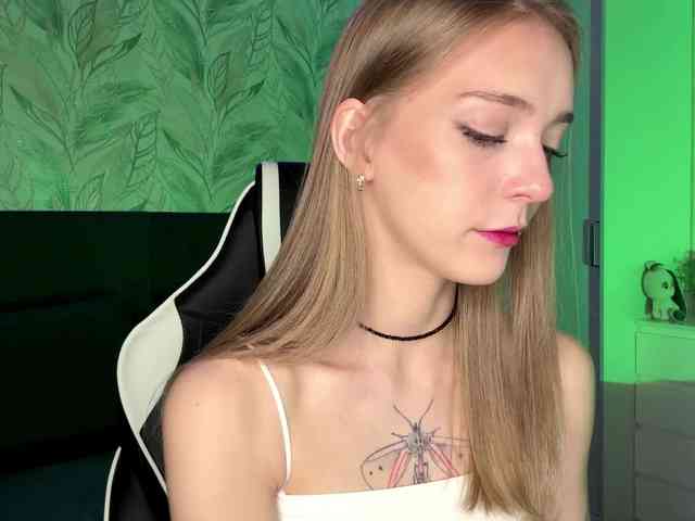 VersieBruegman webcam