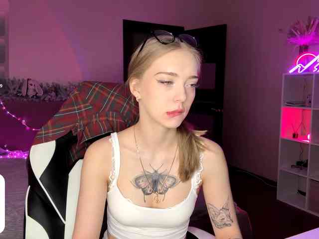 VersieBruegman webcam