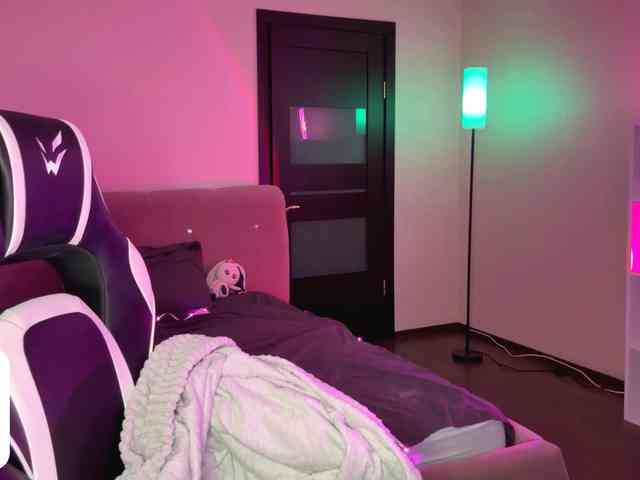 VersieBruegman webcam