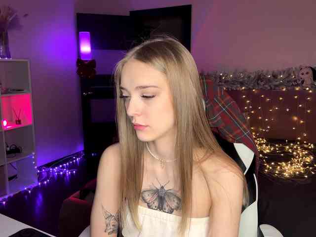 VersieBruegman webcam