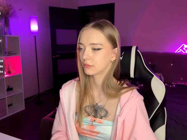 VersieBruegman webcam