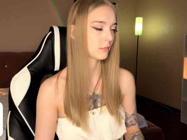 VersieBruegman webcam