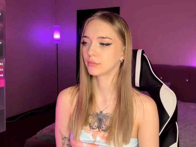 VersieBruegman webcam