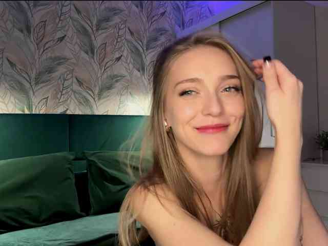 VersieBruegman webcam