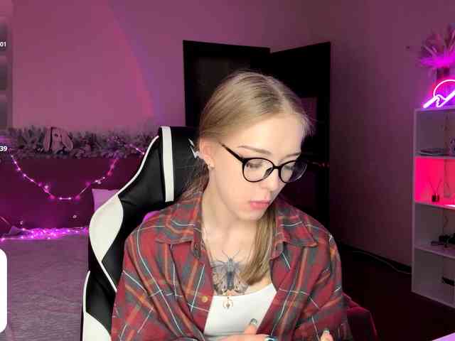 VersieBruegman webcam