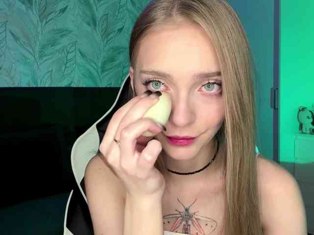 VersieBruegman webcam