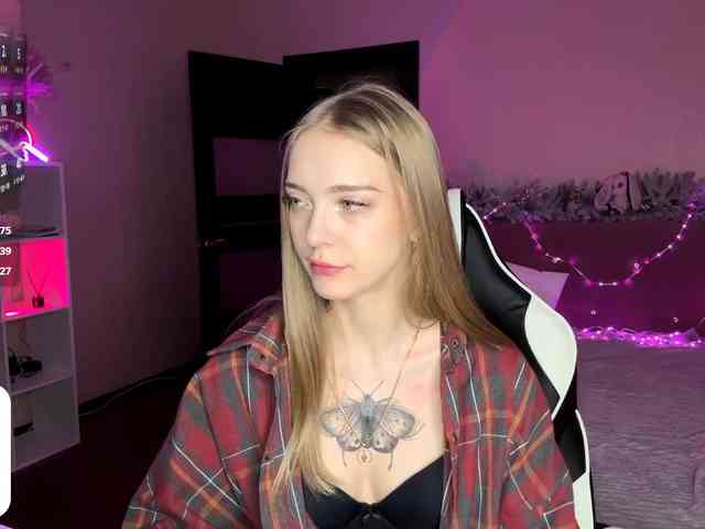 VersieBruegman webcam