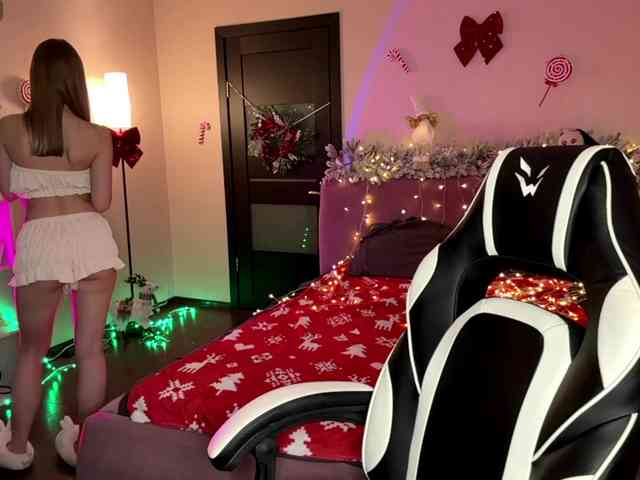 VersieBruegman webcam