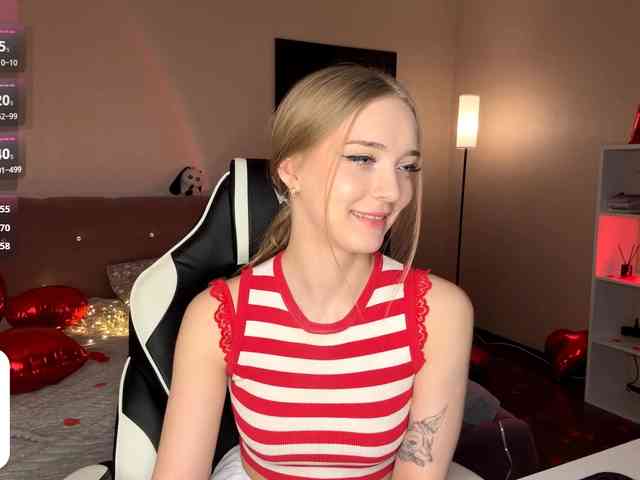 VersieBruegman webcam