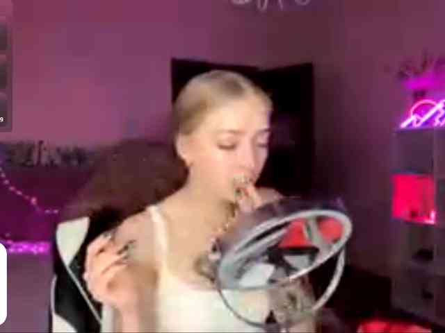 VersieBruegman webcam