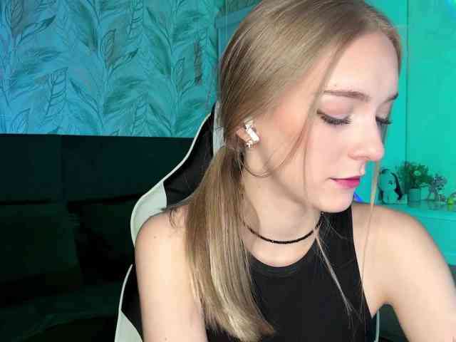 VersieBruegman webcam