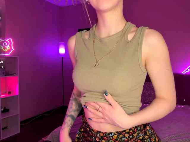 VersieBruegman webcam