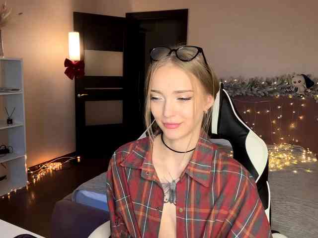 VersieBruegman webcam