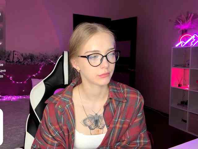 VersieBruegman webcam