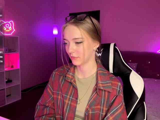 VersieBruegman webcam