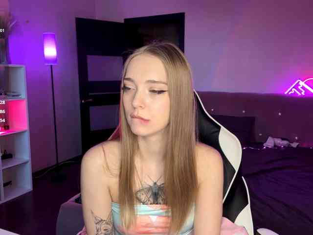 VersieBruegman webcam