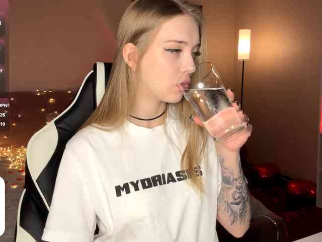 VersieBruegman webcam