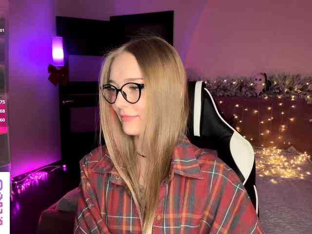 VersieBruegman webcam