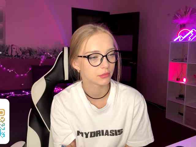 VersieBruegman webcam