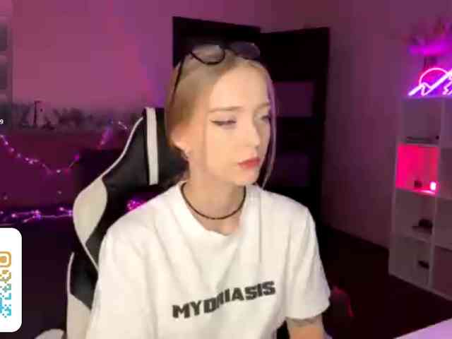 VersieBruegman webcam