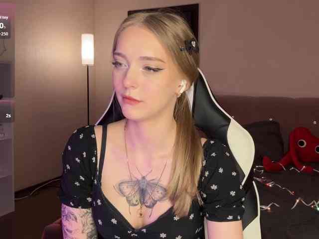 VersieBruegman webcam