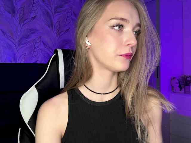 VersieBruegman webcam