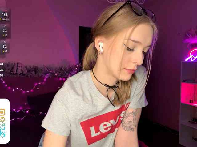 VersieBruegman webcam