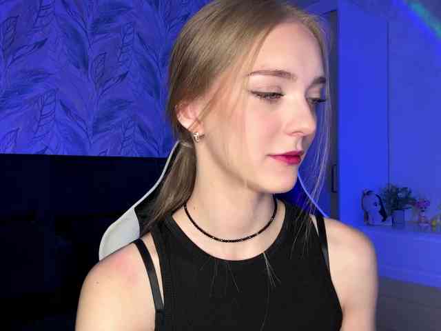 VersieBruegman webcam