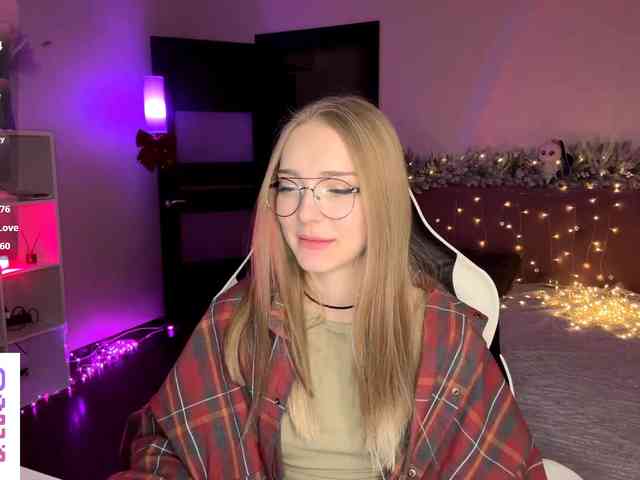 VersieBruegman webcam