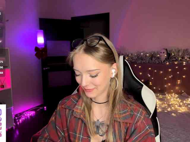 VersieBruegman webcam