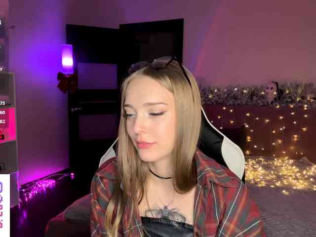 VersieBruegman webcam