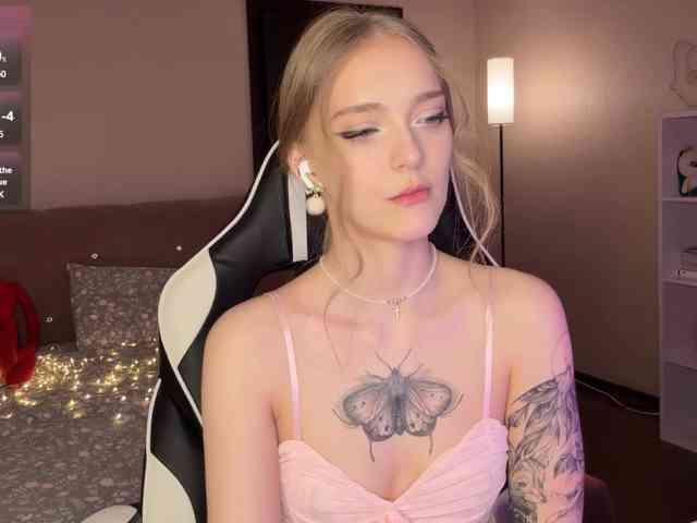 VersieBruegman webcam