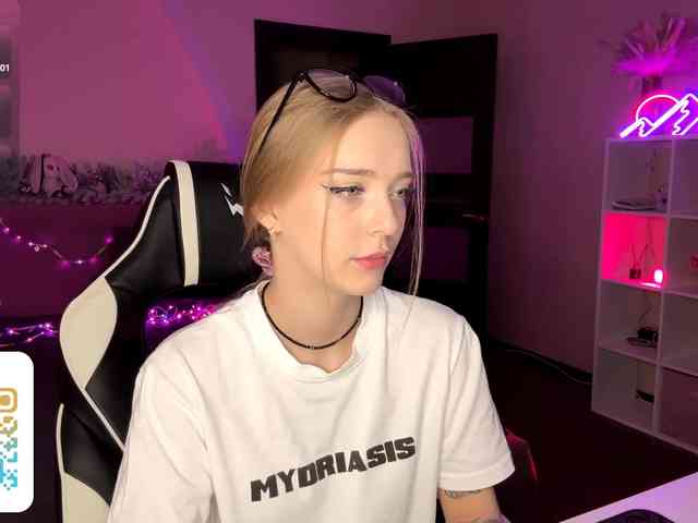 VersieBruegman webcam