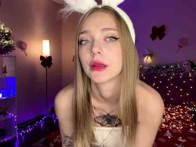 VersieBruegman webcam